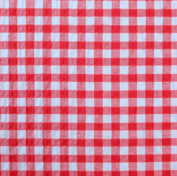 Arden Gingham Seersucker | Red and Sky