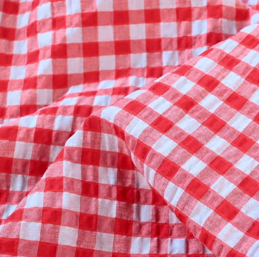 Arden Gingham Seersucker | Red and Sky